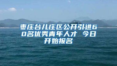 枣庄台儿庄区公开引进60名优秀青年人才 今日开始报名