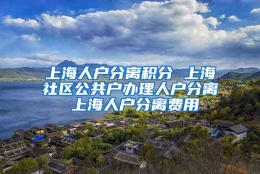 上海人户分离积分 上海社区公共户办理人户分离 上海人户分离费用