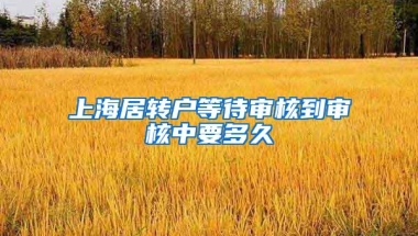 上海居转户等待审核到审核中要多久