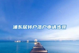 浦东居转户落户申请步骤