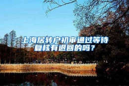 上海居转户初审通过等待复核有退回的吗？