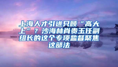 上海人才引进只顾“高大上”？沙海林肖贵玉任副组长的这个专项监督聚焦这部法