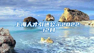 上海人才引进公示2022 12月