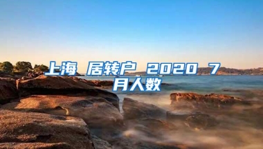 上海 居转户 2020 7 月人数