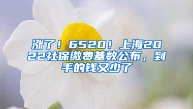 涨了！6520！上海2022社保缴费基数公布，到手的钱又少了