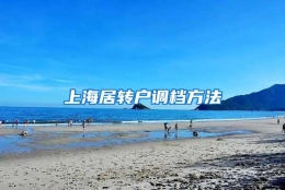 上海居转户调档方法