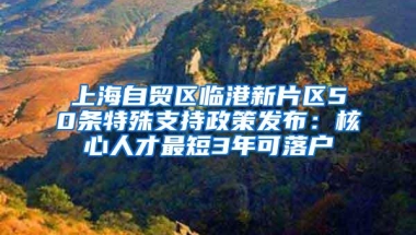 上海自贸区临港新片区50条特殊支持政策发布：核心人才最短3年可落户