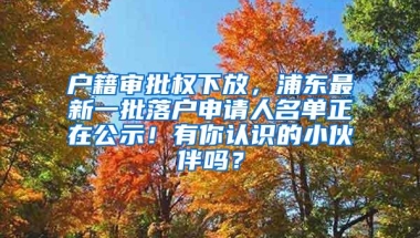 户籍审批权下放，浦东最新一批落户申请人名单正在公示！有你认识的小伙伴吗？