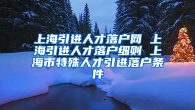 上海引进人才落户网 上海引进人才落户细则 上海市特殊人才引进落户条件