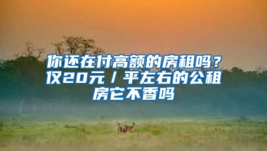 你还在付高额的房租吗？仅20元／平左右的公租房它不香吗