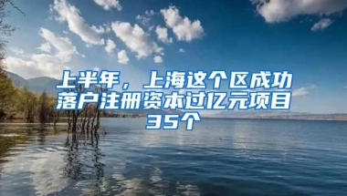 上半年，上海这个区成功落户注册资本过亿元项目35个