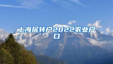 上海居转户2022农业户口