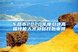 东营市2020年度引进高端技能人才补贴开始申领