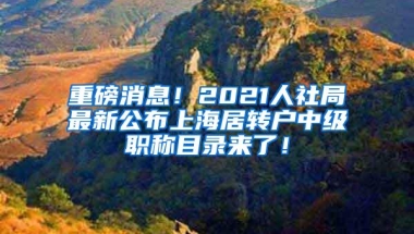 重磅消息！2021人社局最新公布上海居转户中级职称目录来了！