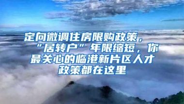 定向微调住房限购政策，“居转户”年限缩短，你最关心的临港新片区人才政策都在这里