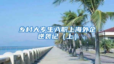 乡村大专生入职上海外企逆袭记（上）