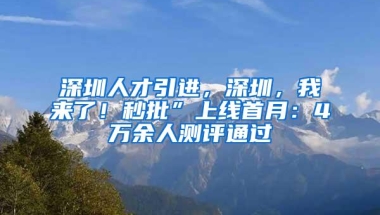 深圳人才引进，深圳，我来了！秒批”上线首月：4万余人测评通过