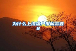 为什么上海落户排队需要2