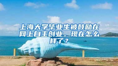 上海大学毕业生被鼓励在网上自主创业。现在怎么样了？