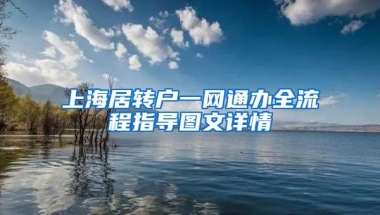 上海居转户一网通办全流程指导图文详情