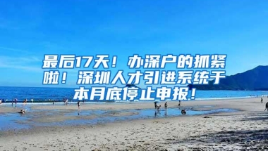 最后17天！办深户的抓紧啦！深圳人才引进系统于本月底停止申报！