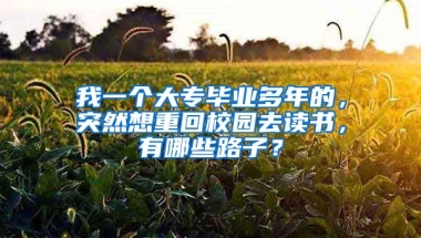 我一个大专毕业多年的，突然想重回校园去读书，有哪些路子？