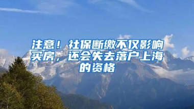 注意！社保断缴不仅影响买房，还会失去落户上海的资格