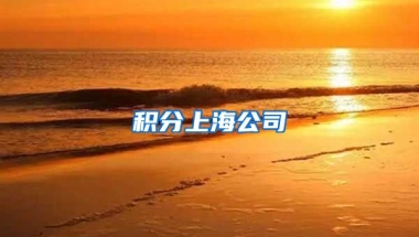 积分上海公司