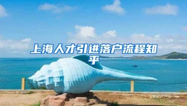 上海人才引进落户流程知乎