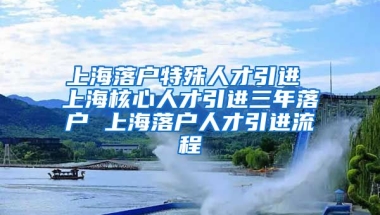 上海落户特殊人才引进 上海核心人才引进三年落户 上海落户人才引进流程