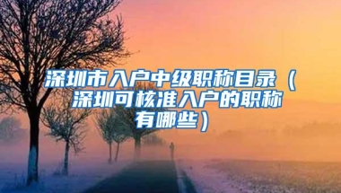 深圳市入户中级职称目录（ 深圳可核准入户的职称有哪些）