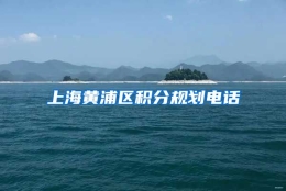 上海黄浦区积分规划电话