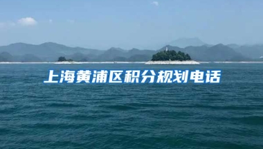 上海黄浦区积分规划电话