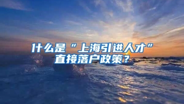 什么是“上海引进人才”直接落户政策？