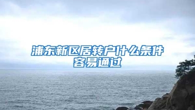 浦东新区居转户什么条件容易通过