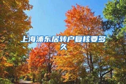 上海浦东居转户复核要多久