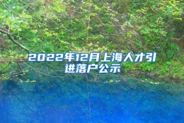 2022年12月上海人才引进落户公示