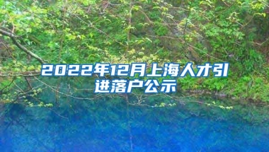 2022年12月上海人才引进落户公示