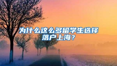 为什么这么多留学生选择落户上海？