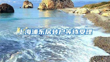 上海浦东居转户等待受理