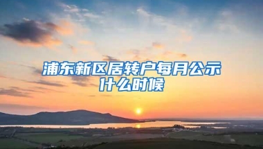 浦东新区居转户每月公示什么时候