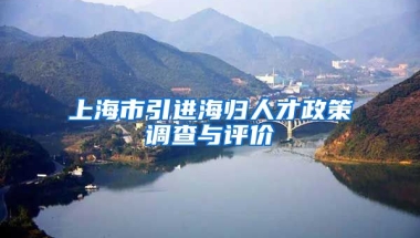 上海市引进海归人才政策调查与评价