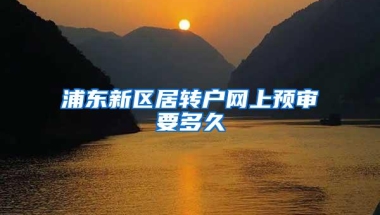 浦东新区居转户网上预审要多久