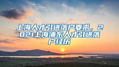 上海人才引进落户要求，2021上海浦东人才引进落户经历