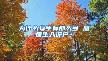 为什么每年有那么多 应届生入深户？