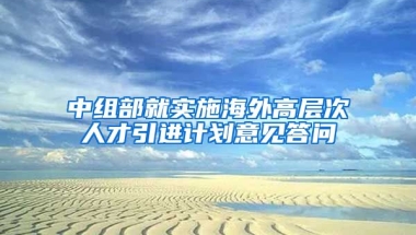 中组部就实施海外高层次人才引进计划意见答问