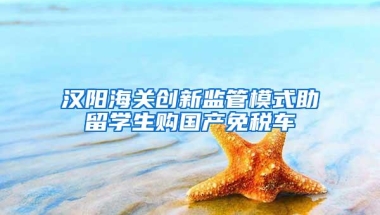 汉阳海关创新监管模式助留学生购国产免税车