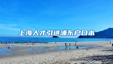 上海人才引进浦东户口本