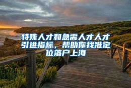 特殊人才和急需人才人才引进指标，帮助你找准定位落户上海