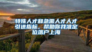 特殊人才和急需人才人才引进指标，帮助你找准定位落户上海